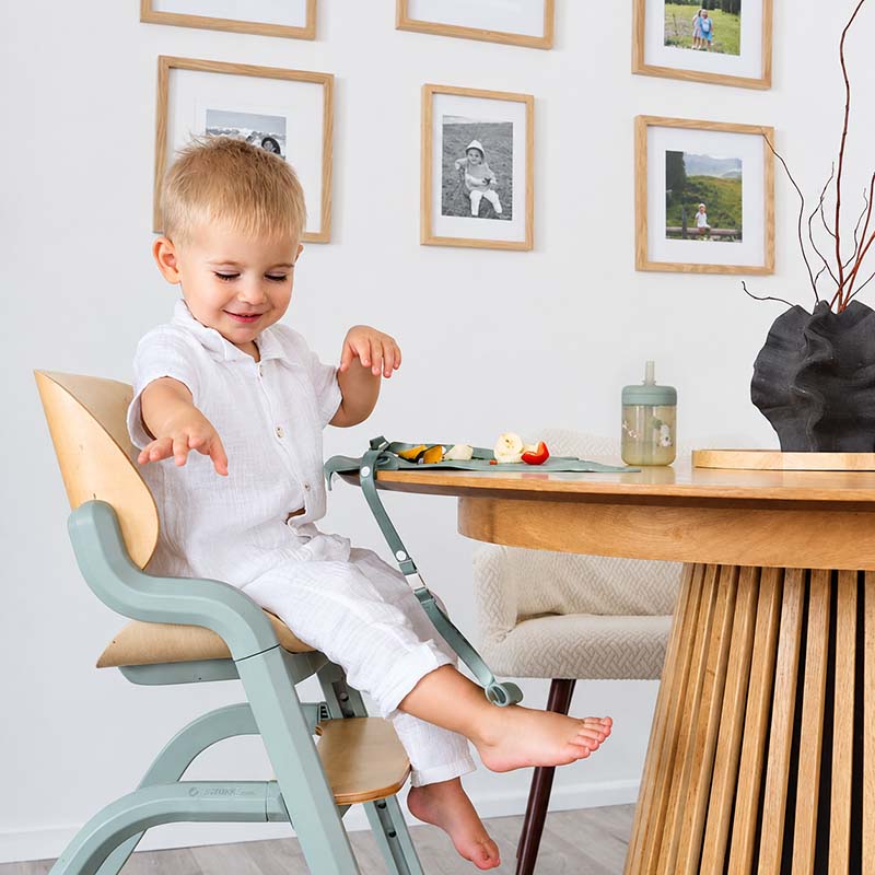 Silicone Suction Placemat