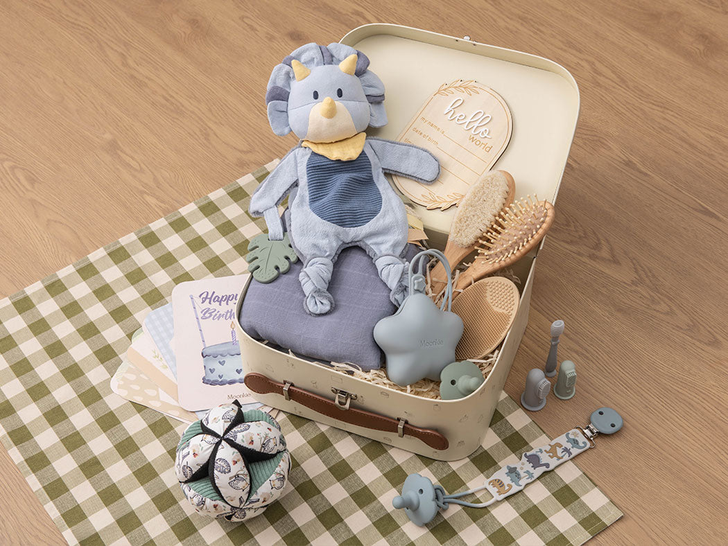 Newborn Baby Boy Gift Set – Complete Essentials with Montessori