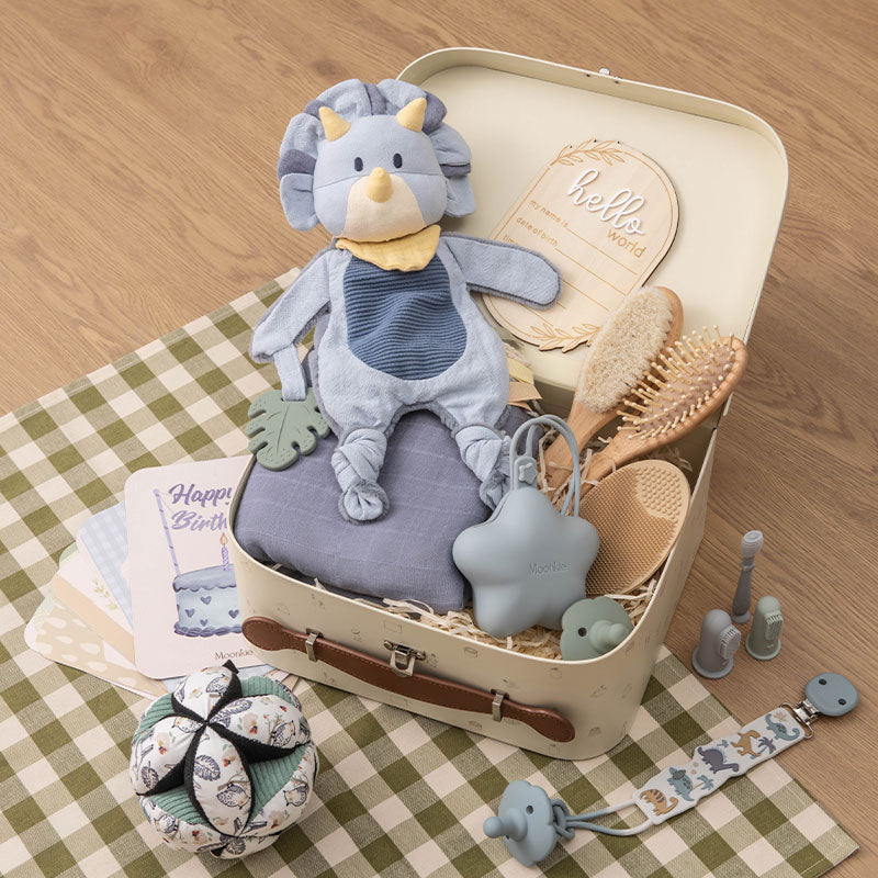 Newborn Baby Boy Gift Set – Complete Essentials with Montessori