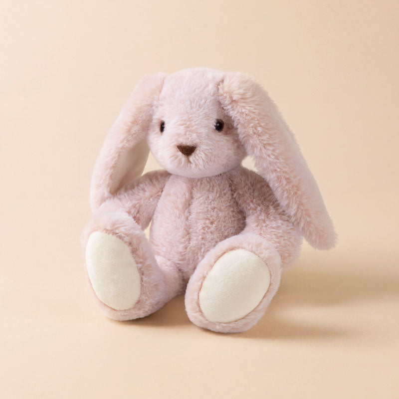 Rosie Hop the Bunny