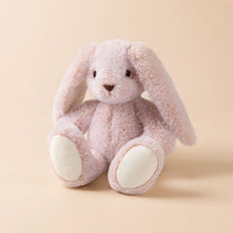 Rosie Hop the Bunny