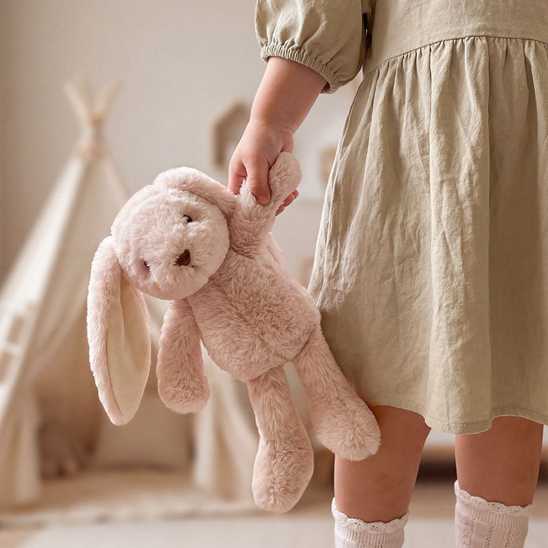 Rosie Hop the Bunny