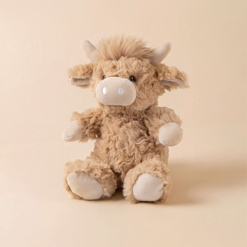 Logan the Highland Cow