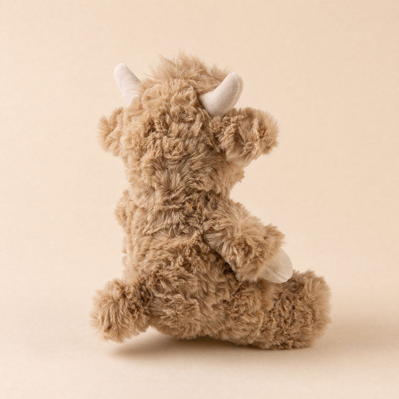 Logan the Highland Cow