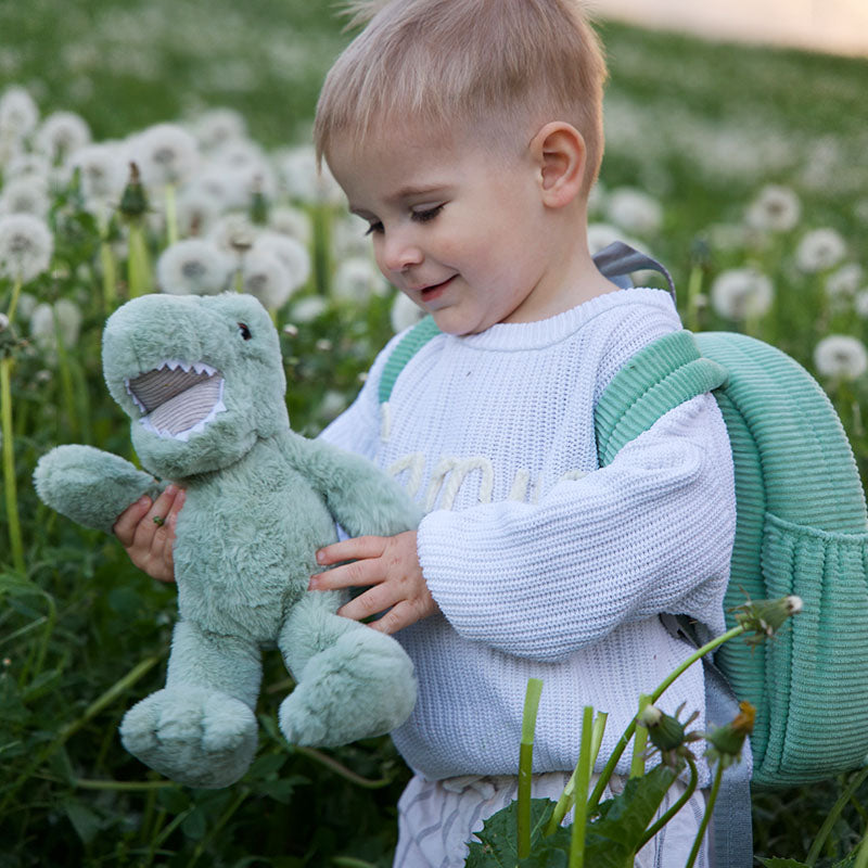 Rexie the Dinosaur