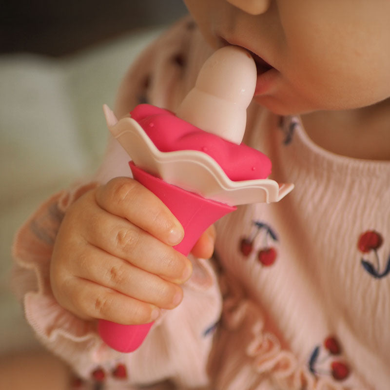 Baby Food Feeder - 2 Pack