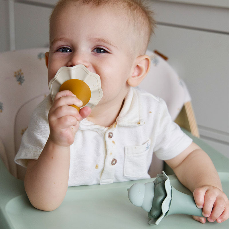 Baby Food Feeder - 2 Pack