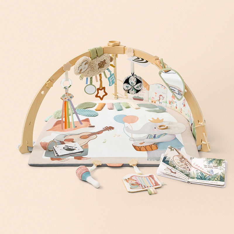 The Forest of Firsts™ Play Gym